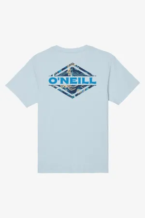 Blender Tee boys