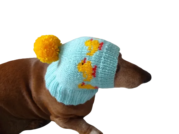 Ducks knitted hat for dogs, clothes for dogs with ducks