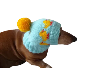 Ducks knitted hat for dogs, clothes for dogs with ducks