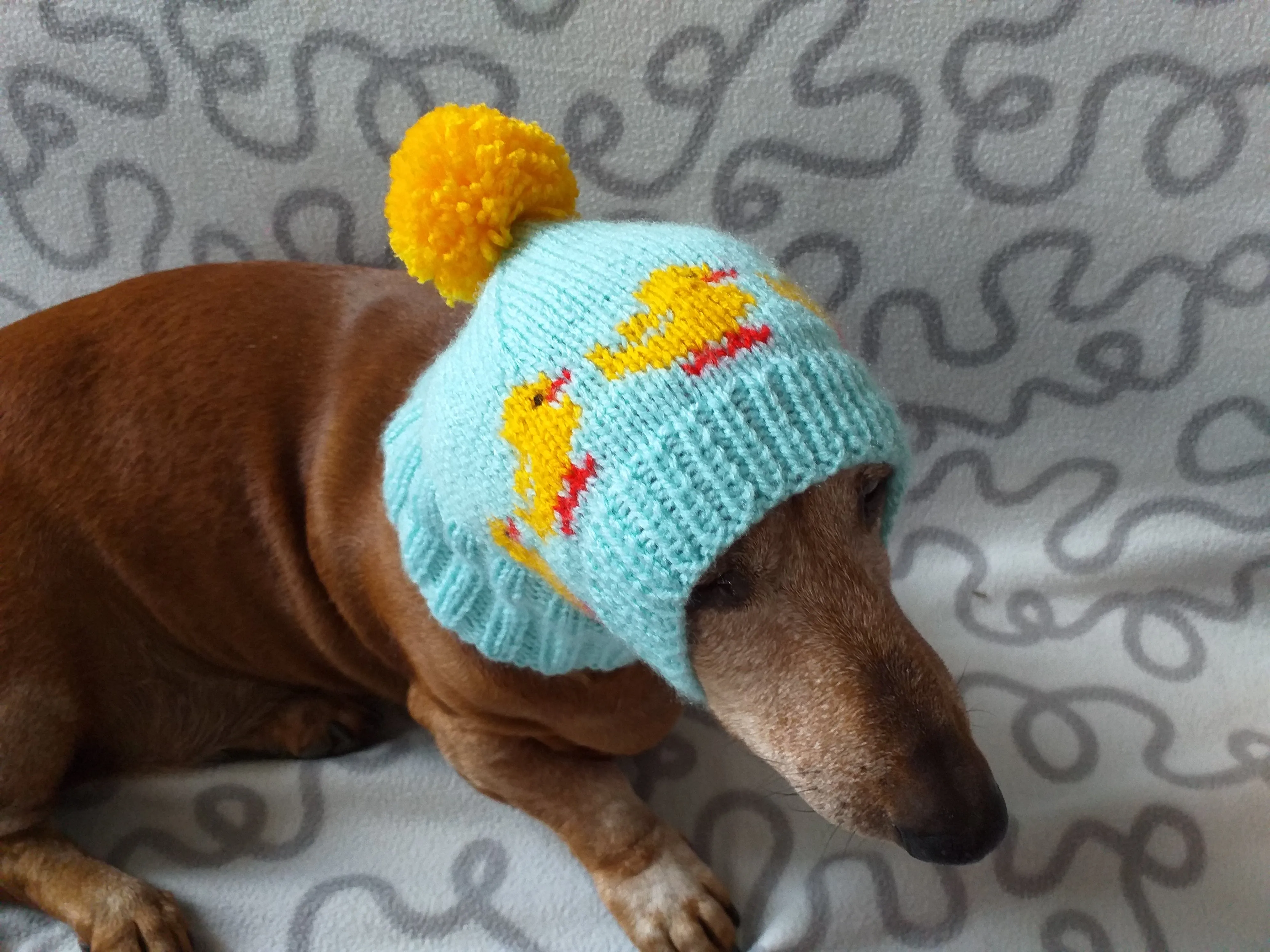 Ducks knitted hat for dogs, clothes for dogs with ducks